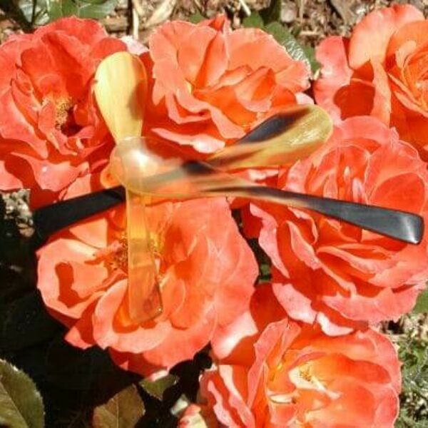 Æggeske i horn - den første barneske