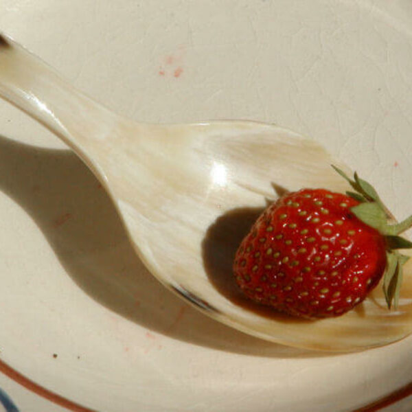 Barneske i horn -Lækkert håndværk