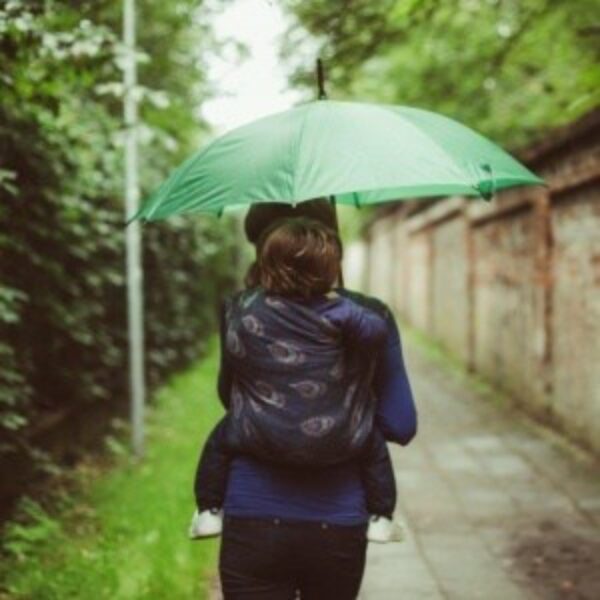 Didymos fastvikle Pfaunenaugen