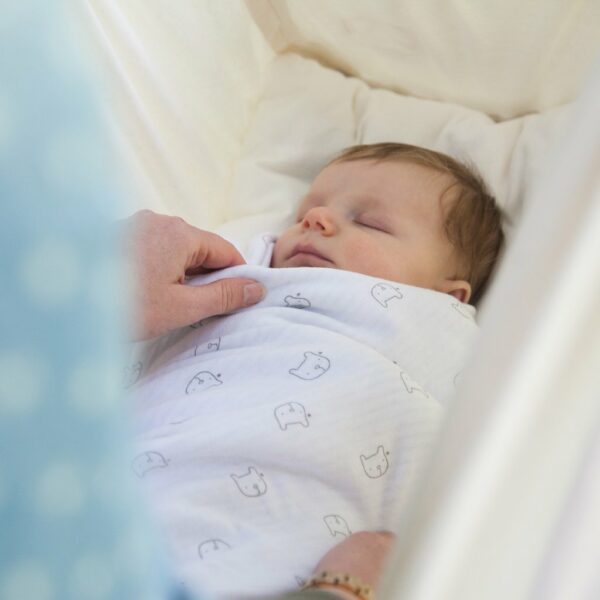 Sov godt i Slyngevuggen Organic den originale økologiske fjedervugge