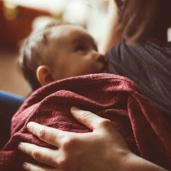 Didymos fastvikle - Prima Mars