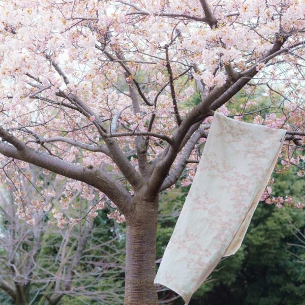 Didymos fastvikle Cherry Blossom Yumemi