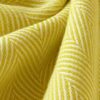 Didymos fastvikle Lisca Arles
