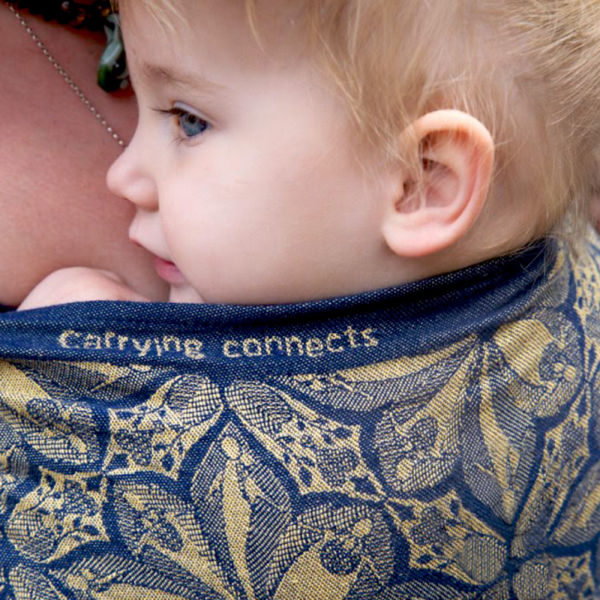 Didymos fastvikle Carrying Connects EBW18