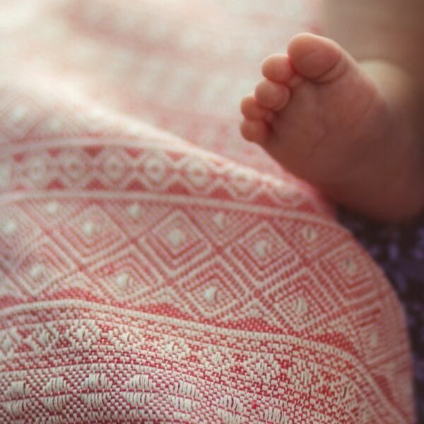 Didymos fastvikle Prima Cayenne Hamp