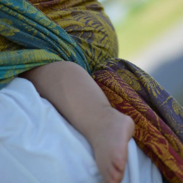 Yaro fastvikle Campanula Coral Reef Grad Yellow Flame