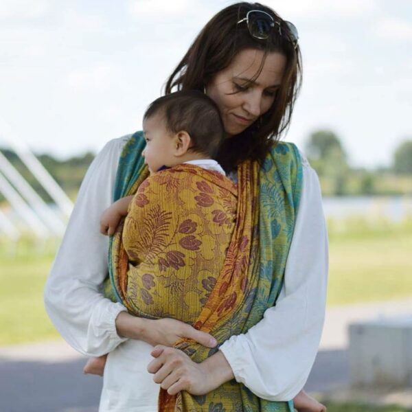 Yaro fastvikle Campanula Coral Reef Grad Yellow Flame