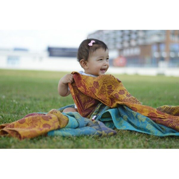 Yaro fastvikle Campanula Coral Reef Grad Yellow Flame