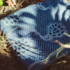 Didymos fastvikle Pfau Sehr Blau Wolle