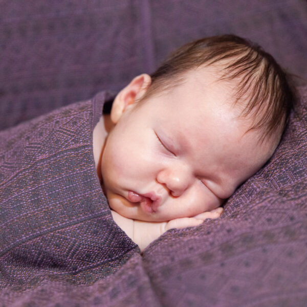 Didymos fastvikle Prima Zimt Beere