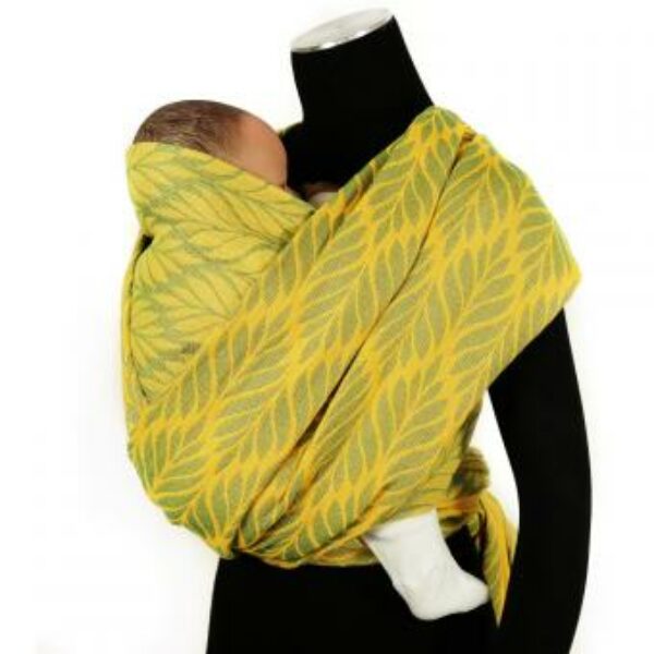 Didymos fastvikle Trias Narzisse