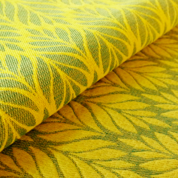 Didymos fastvikle Trias Narzisse