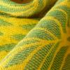 Didymos fastvikle Trias Narzisse