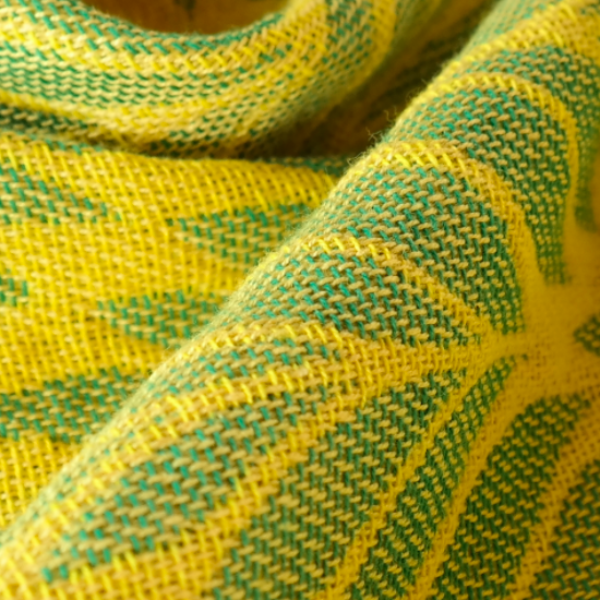 Didymos fastvikle Trias Narzisse