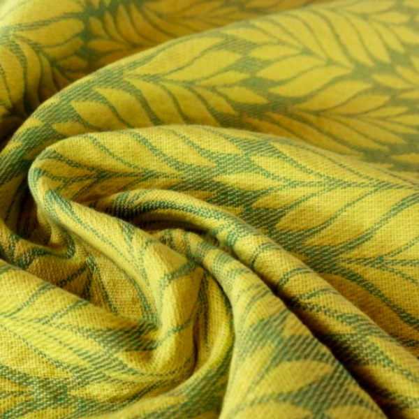 Didymos fastvikle Trias Narzisse